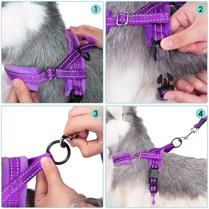 Lukovee Dog Harness and Leash Set 4ft Lightweight