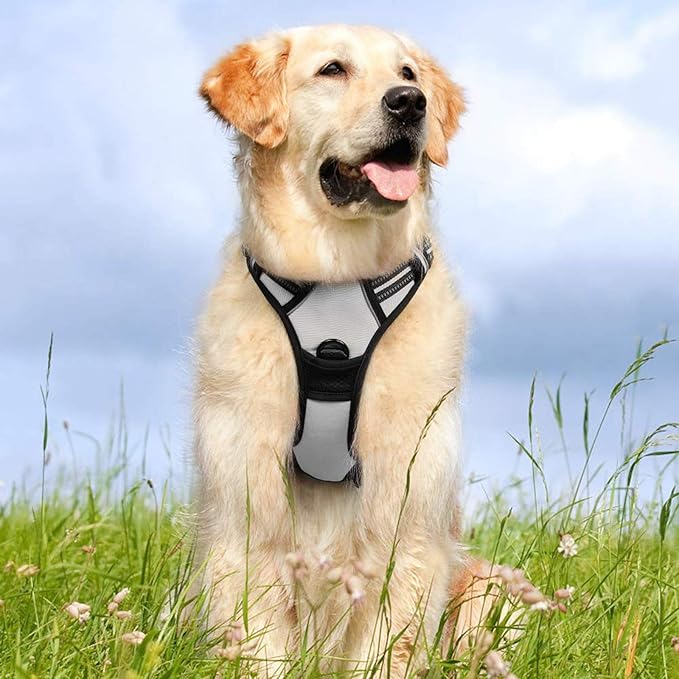 rabbitgoo Dog Harness 2 Leash