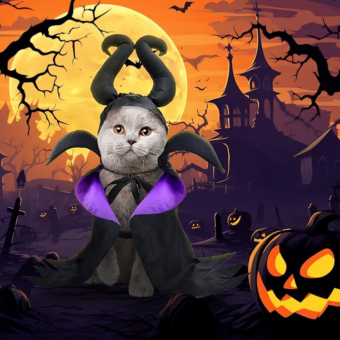 Dog Halloween Witch Costume Dog Wizard Cape Cat