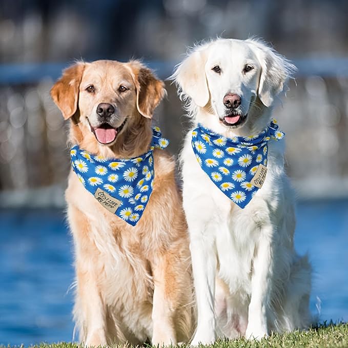 SCENEREAL Summer Daisy Floral Dog Bandana