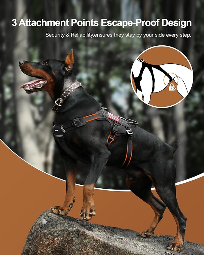 FAYOGOO Tactical Dog Harness for Small and Medium Breed