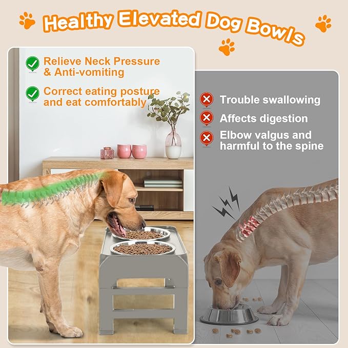 Elevated Dog Bowls 4 Height 2 Thick 50oz Stainless 3.7", 9.2", 10.75", 12.36"