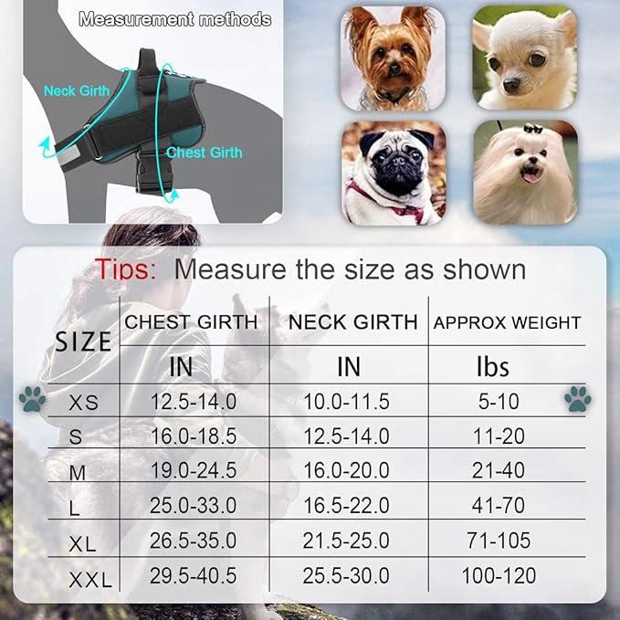 Bolux Dog Harness