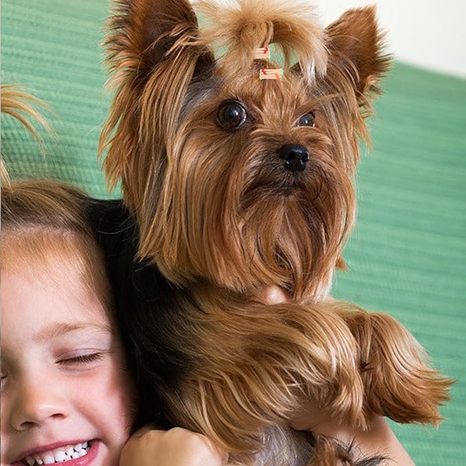 100 PCS Dog Hair Bands, Colorful Rubber Bands for Pet Puppy Stretchy Hair Ties Super Stretch Nylon Seamless Dog Hair Bows Puppy Elastics Ties Pony Tail Holders Hair Accessories for Small Yorkie Dog