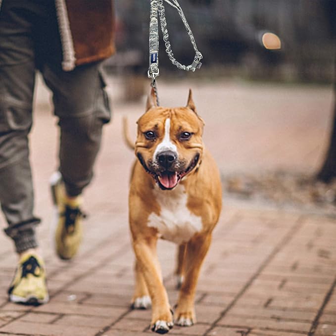 AUROTH Dog Leash Large Dogs 6FT, 2