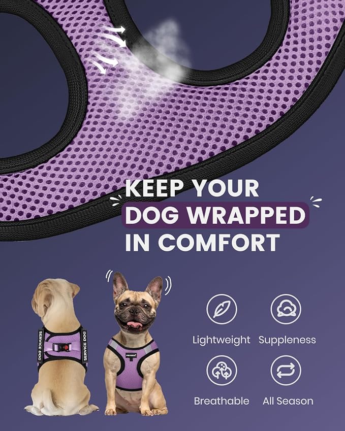 FAYOGOO Service Dog Vest for Small Breed 6PCS Removable