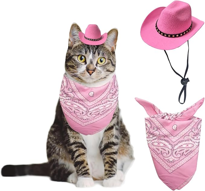 Dog Cowboy Hat Cat Cowboy Hat Mini Cowboy Hat for Dogs Cat Pet Cowboy Costume with Bandana Scarf Holiday Halloween Pet Party Decoration (pink