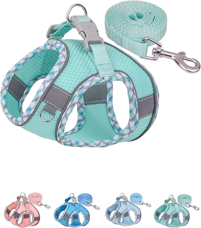 Petank Green Dog Harness (XS)