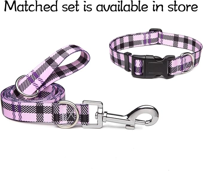 Adjustable Dog Collar with Patterns