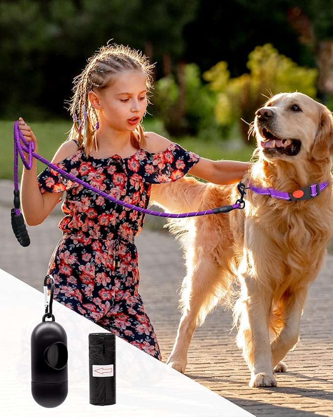 Dog Leash Heavy Duty 4/5/6FT Reflective 6'*1/2'', Purple