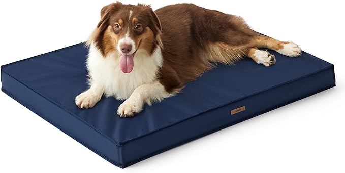 Lesure Waterproof Dog Bed for Medium Dogs