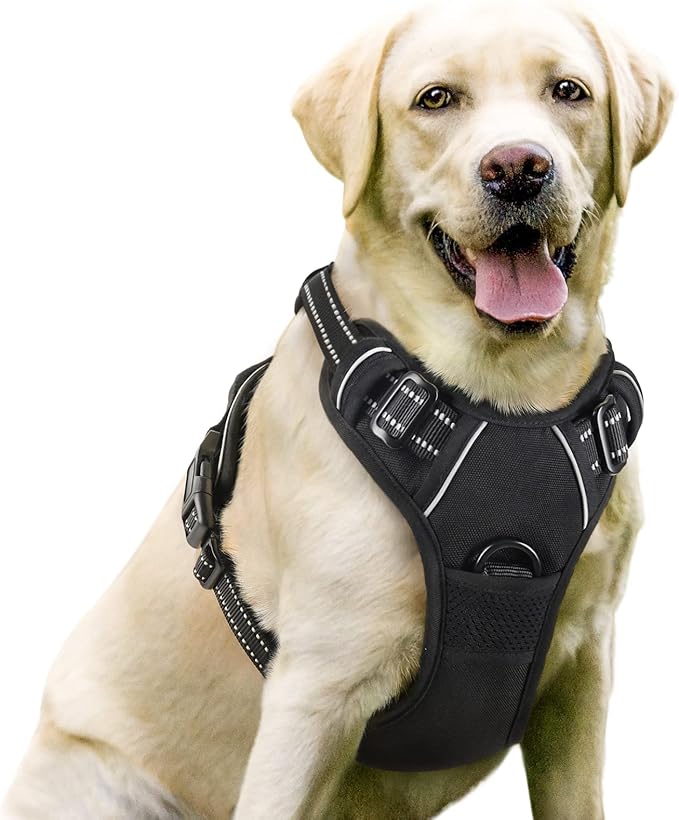 rabbitgoo Dog Harness 2 Leash
