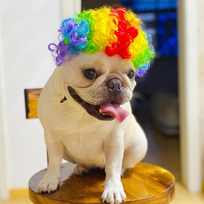 Funny Dog Cat Cosplay Wig