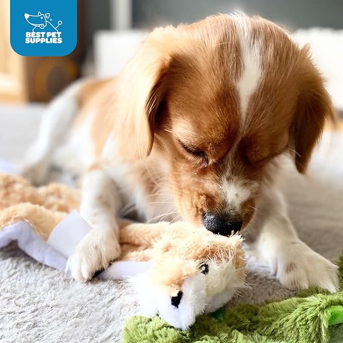 Best Pet Supplies 2-in-1 Stuffless Squeaky Dog Toys with Soft 1Wild Duck,