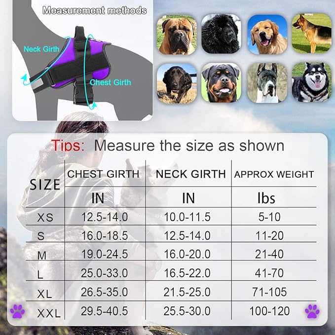 Bolux Dog Harness 1)
