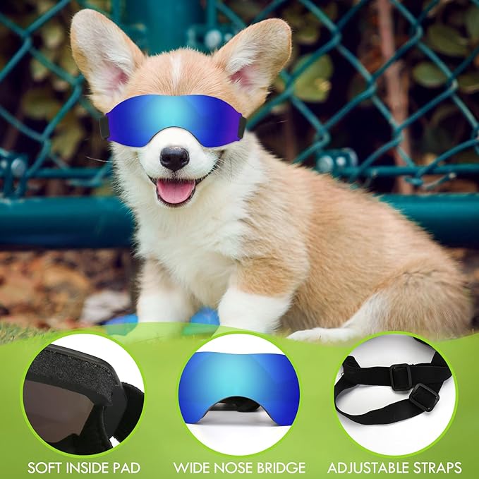 Small Dog Sunglasses