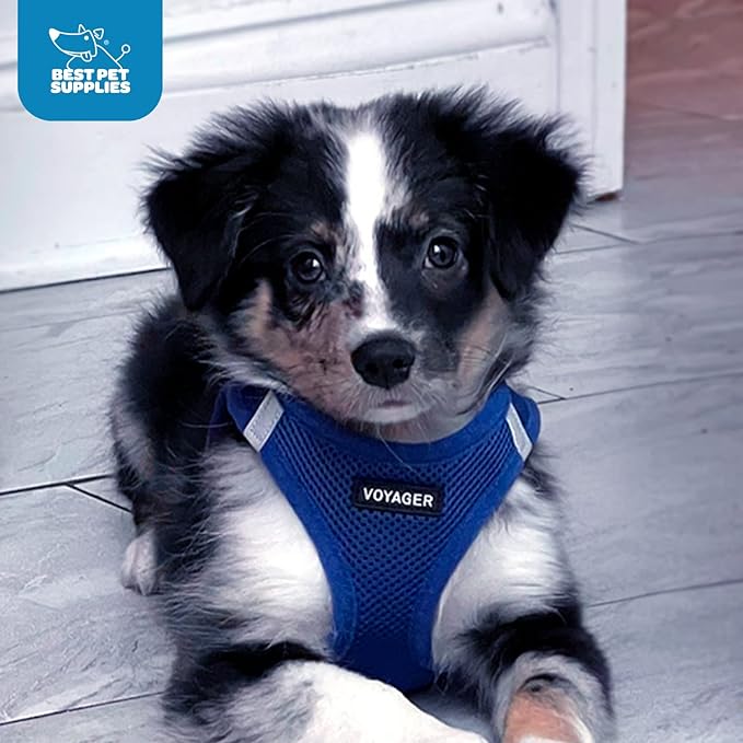 Voyager Step-in Air Dog Harness 20.5-23")