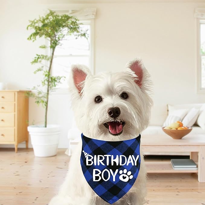 STMK Dog Birthday Bandana