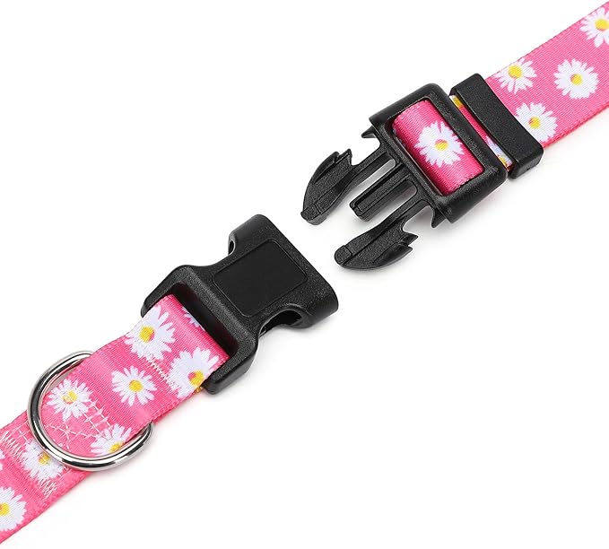 Adjustable Dog Collar with Patterns