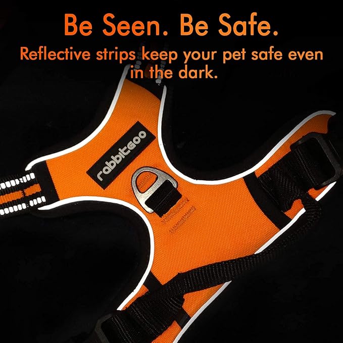 rabbitgoo Dog Harness 2 Leash