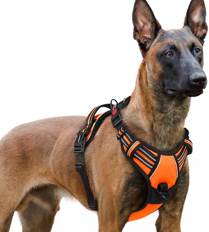 rabbitgoo Dog Harness for Large 3 Buckles,