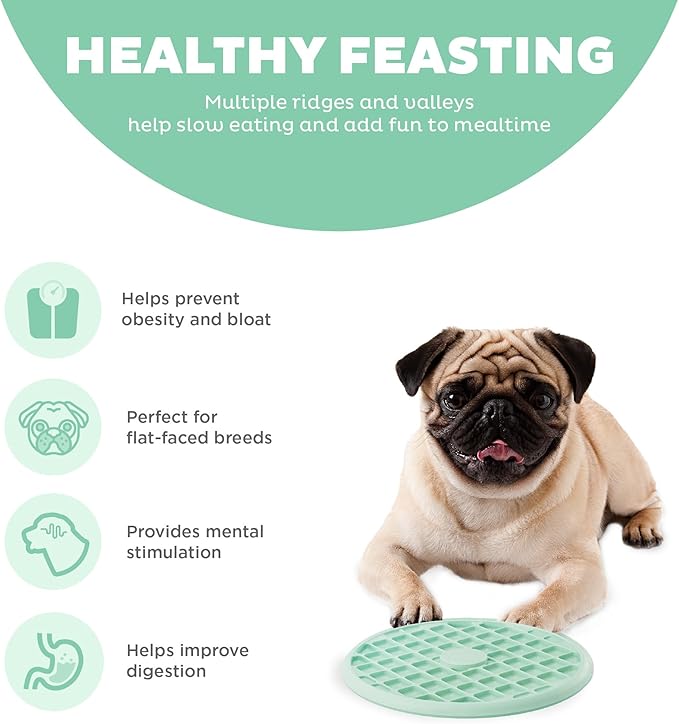 Outward Hound Fun Feeder Slo Tray Slow Feeder Dog Bowl for French Bulldogs and Other Brachycephalic Breeds or Flat-Faced Breeds