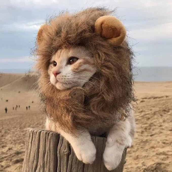 NAMSAN Lion Mane for Cat Small Dog Halloween