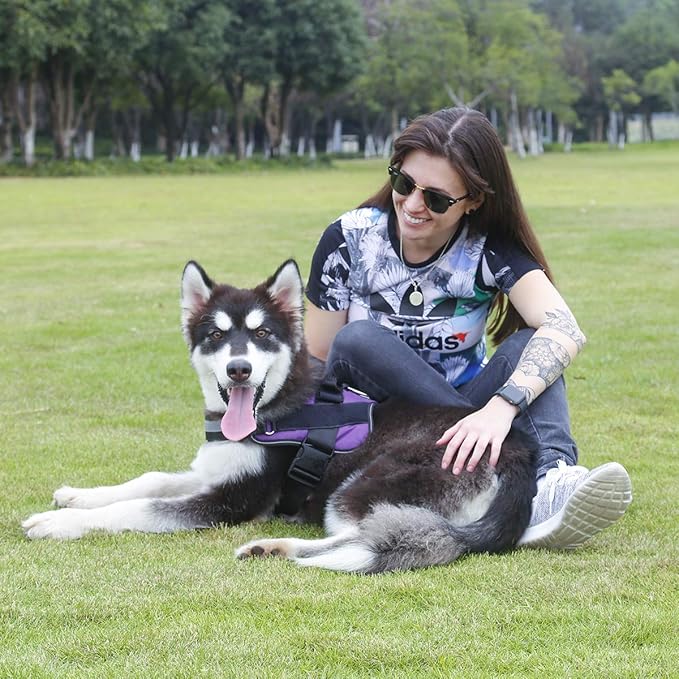 Bolux Dog Harness 1)