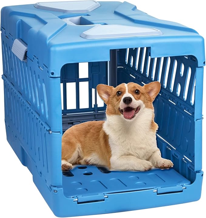 Collapsible Puppy Crate Portable Dog Kennel Portable Travel 22 Inch