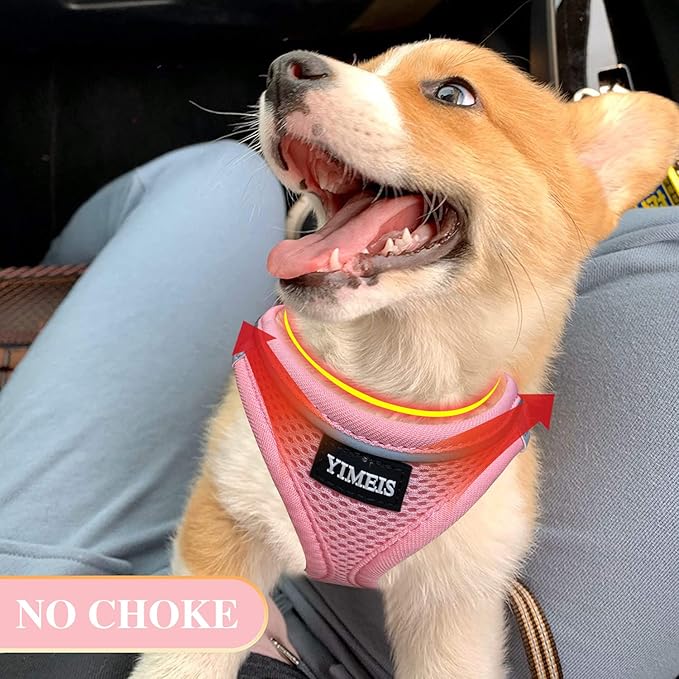 YIMEIS Dog Harness and Leash Set 1)