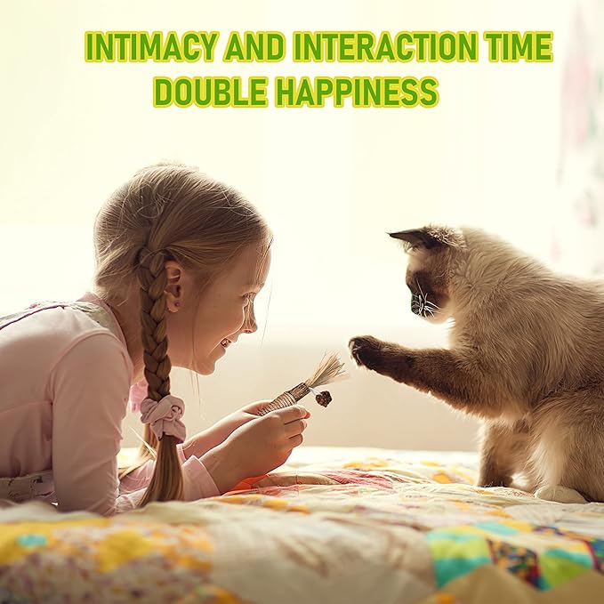 1 Pack Silvervine Cat Toy