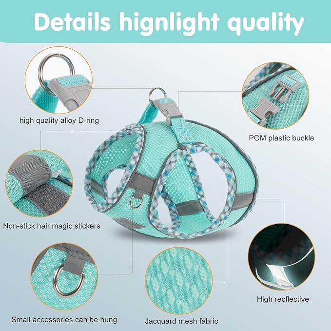 Dog Harness and Leash Set