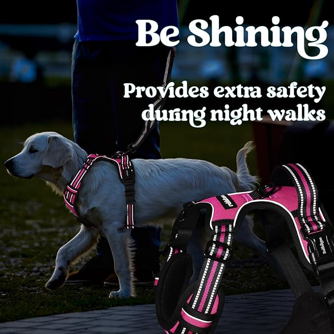 rabbitgoo Dog Harness Medium Sized 3 Buckles,