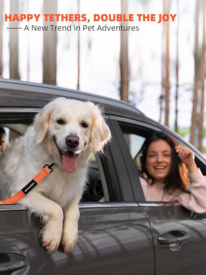 Heavy Duty Double-Handle Dog Leash with Reflective Design 4~6FT No-Pull