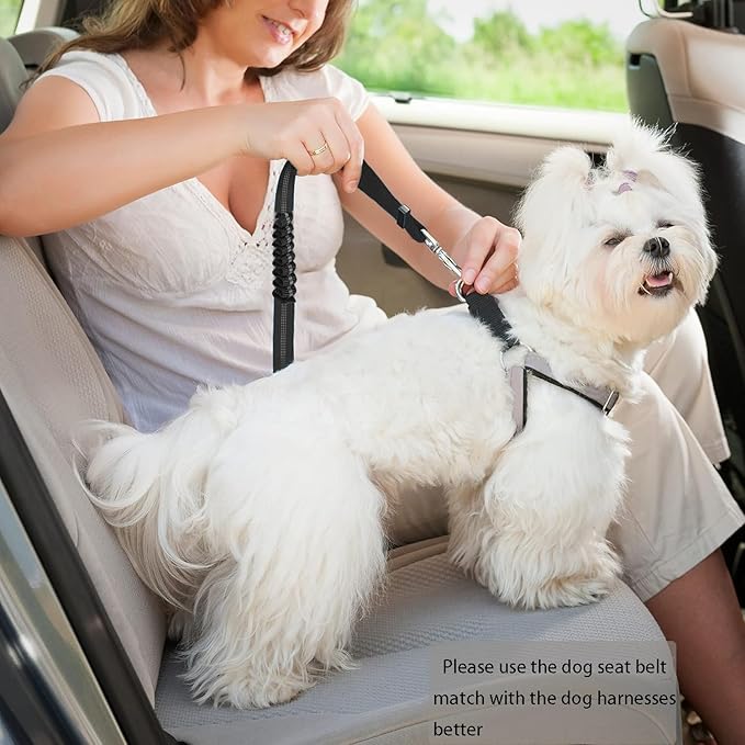 Dog Seat Belt