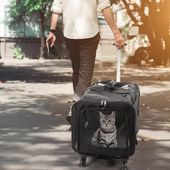 2 Set Double Cat Carrier with Wheel 2 Cats,Rolling