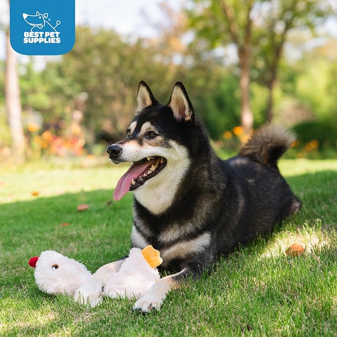 Best Pet Supplies Chicken Crinkle Plush Dog Toys for Interactive Play