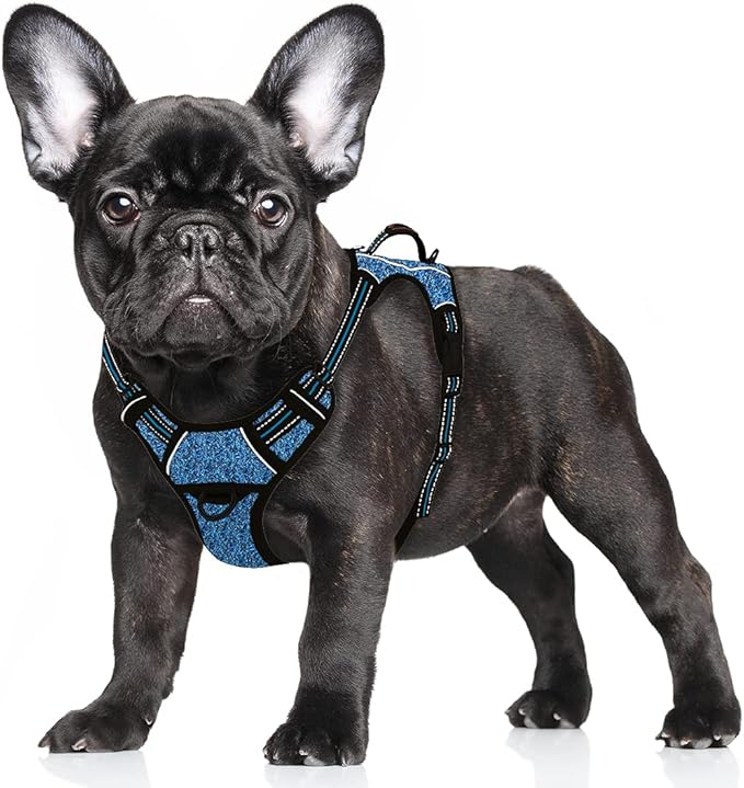 BARKBAY No Pull Dog Harness Large Step in Reflective Dog Harness with Front Clip and Easy Control Handle for Walking Training Running with ID tag Pocket(Blue/Black