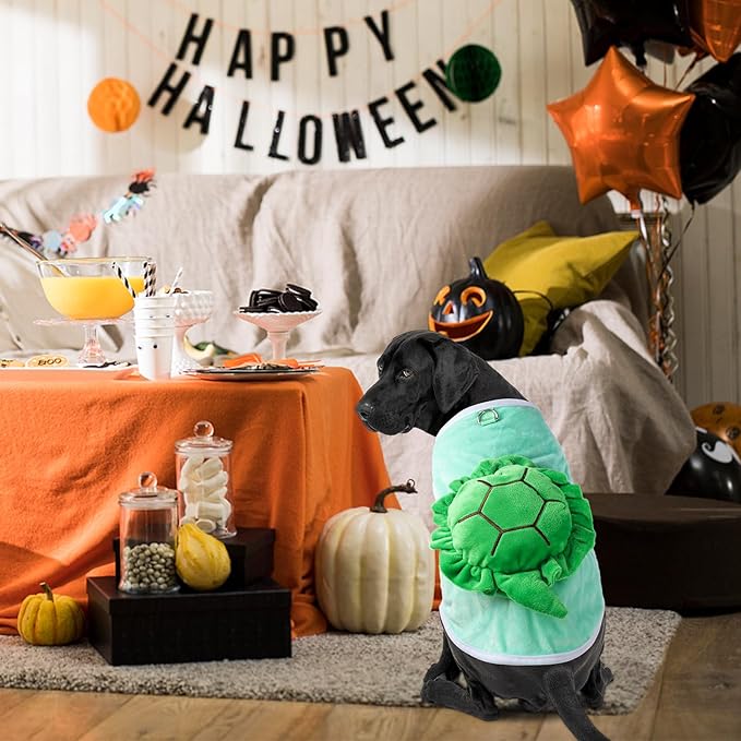 Turtle Dog Costume