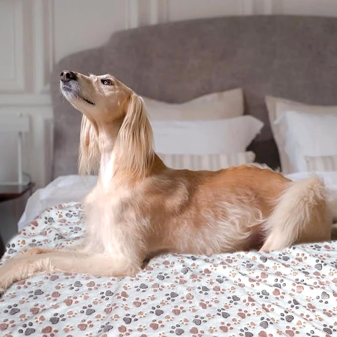 Dog Blankets for Large Dogs 1 Pc 60" x 50", Fuzzy