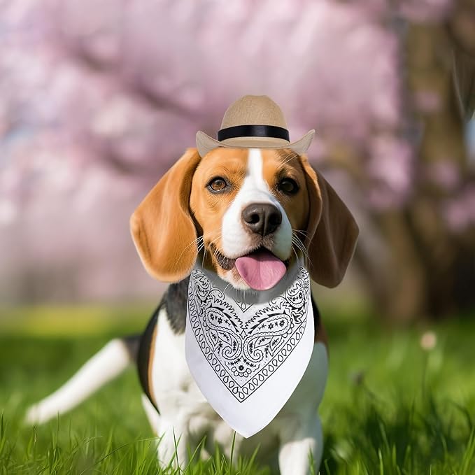 choyaxo Dog Halloween Costumes Pet Cowboy Costume