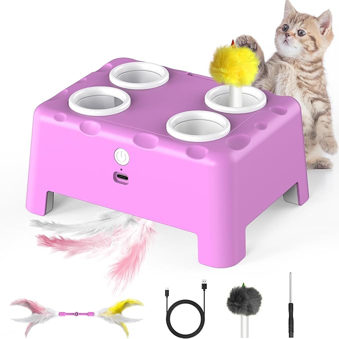 Interactive Cat Toys 2-in-1 Automatic 4 Holes