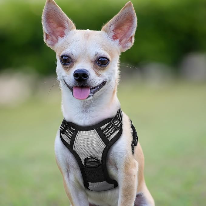 rabbitgoo Dog Harness 2 Leash