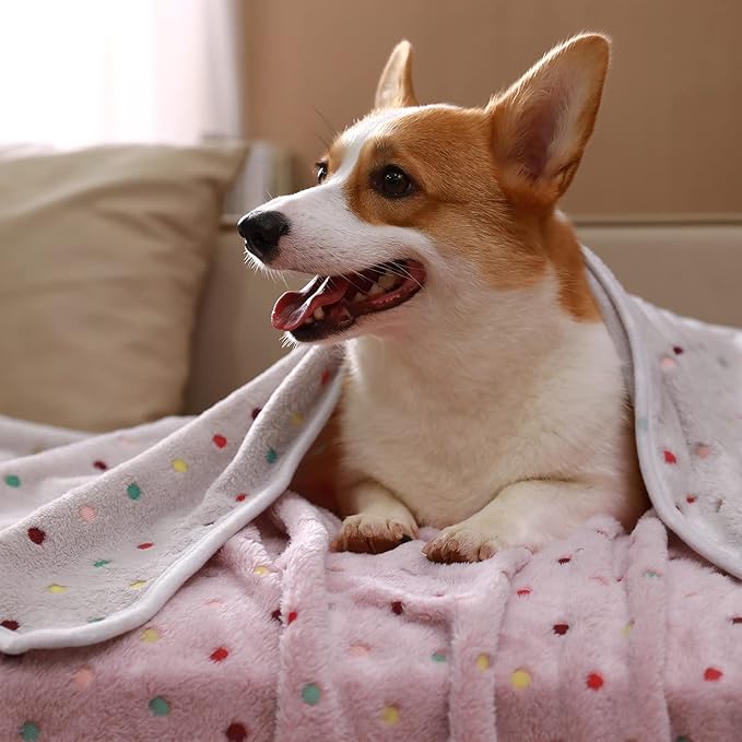 Luciphia 1 Pack 3 Blankets Super Soft Cute Dot Pattern Pet Blanket Flannel Throw for Dog Puppy Cat Dot Small(23x16)