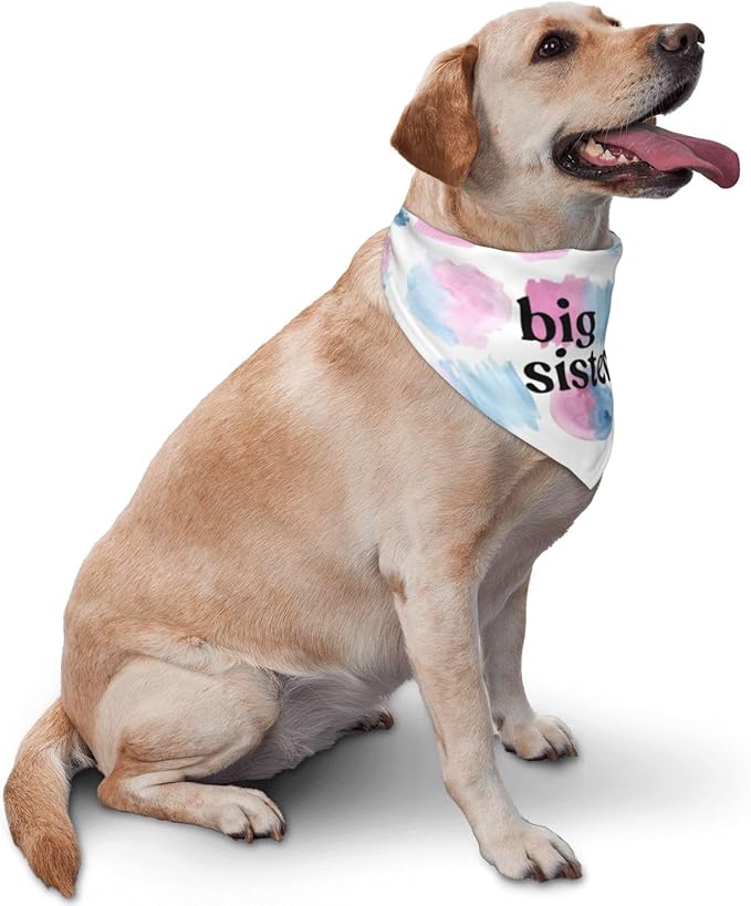 Big Sister Dog Bandana,Baby Announcement Dog Bandana,Gender Reveal,Pet Scarf, Pet Accessories for Photo Props Accessories (Color block)