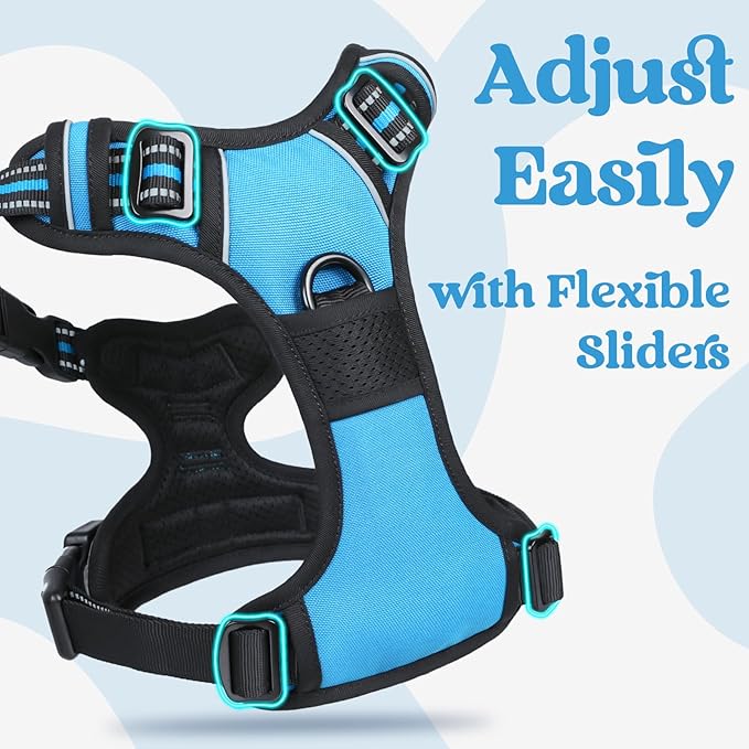 rabbitgoo Dog Harness for Large 3 Buckles,