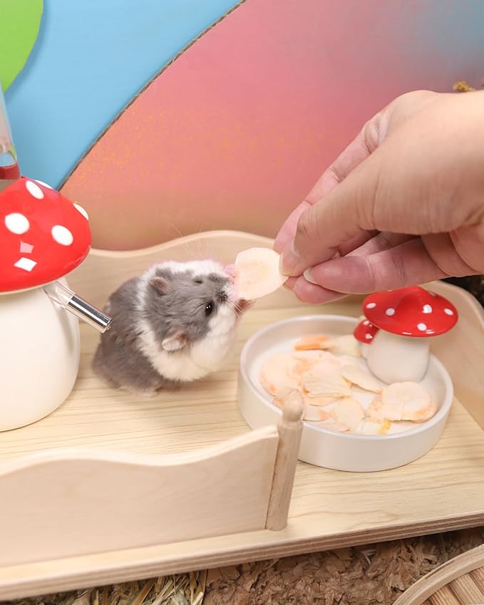 Niteangel Hamster Snack & Treats Toy