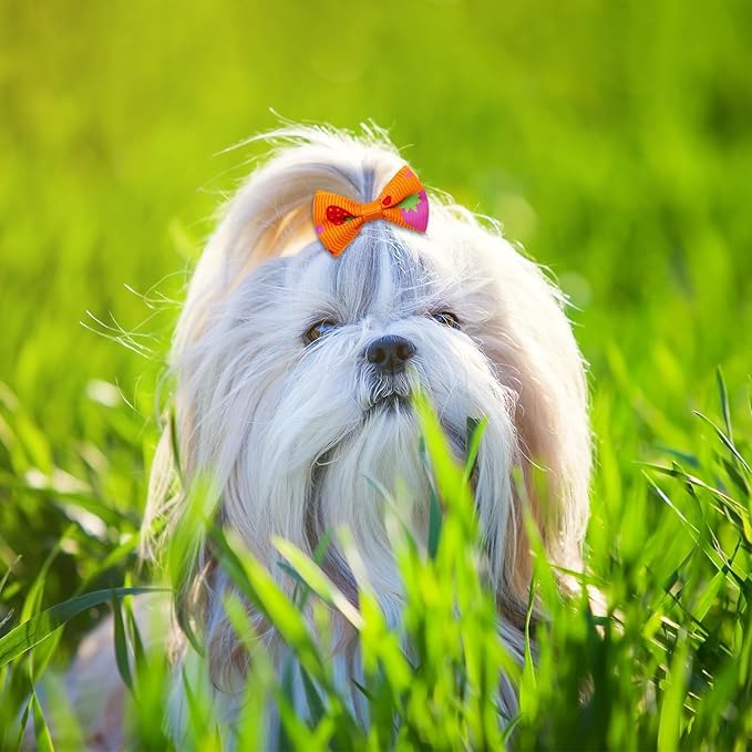 100PCS Cute Puppy Dog Small Bowknot Hair Bows,Yorkie Doggie Bows with Rubber Band Pet Grooming Bows Dog Hair Costume Accessories for Small Dog