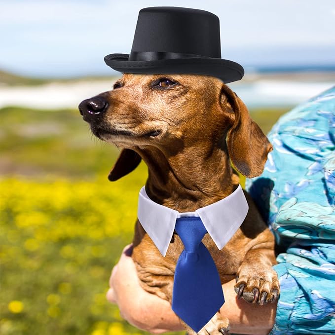 Yewong 2 Pieces Pet Formal Accessories Set
