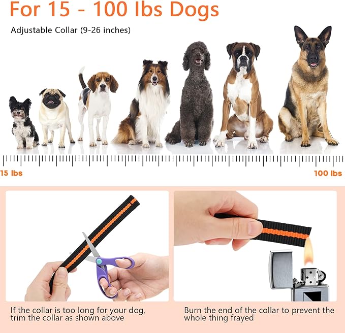 Dog Training Collar 100% Waterproof 1300ft, 3